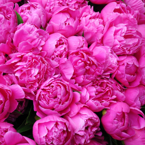 How to Mother Yourself to Hormonal Health this Mother’s Day